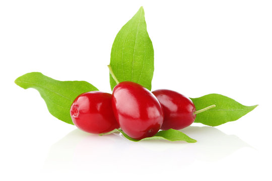 ripe juicy cornel with green leaf
