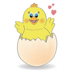 cartoon chicken coming out of a  egg