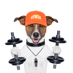 funny fitness dog