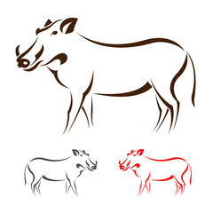 Vector image of an boar on white background