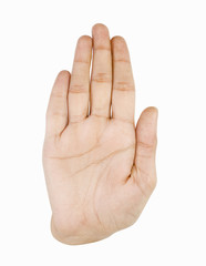 Close-up of a person's palm