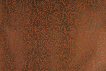 pims_20090516_ps0015.jpg