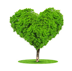 Tree in the shape heart