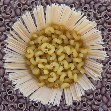 Pasta girasole
