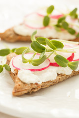 sandwiches with radish and sunflower sprouts