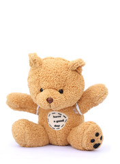 teddy bear isolated on white
