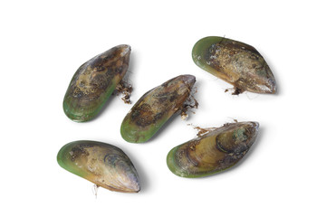 New Zealand green lipped mussels