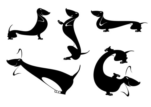 Vector silhouettes of the dachshund