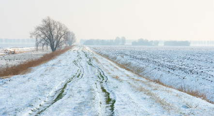 Obraz premium Frozen walking path in winter