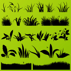 Grass and plants detailed silhouettes illustration collection ba