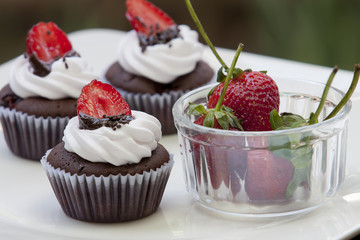 Chocolate Cupcake with strawberry