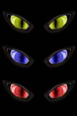 cat eyes 1 © Konrad Kerker