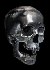 Metallic skull