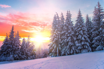Winter landscape on a sunset. Bulgaria