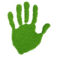 green grass hand