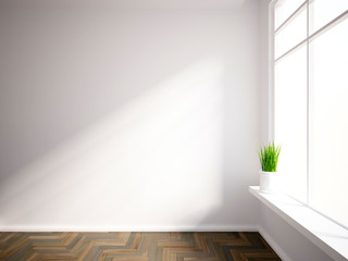 empty interior with a green plant