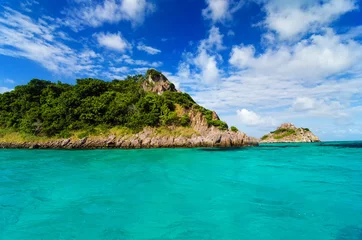 Foto op Canvas Green Island in Turquoise Water © jkraft5