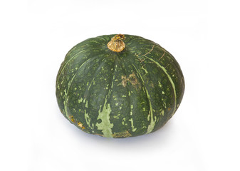 Buttercup Squash