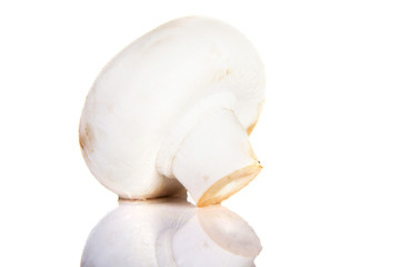 Edible button mushroom, .champignon