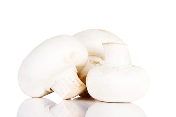 Edible button mushroom, .champignon