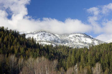 Fototapeta premium Snow capped mountains.