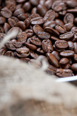 Vertical shot of roasted coffee beans in a frying pan, close-up
