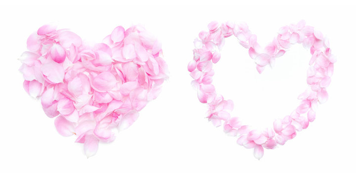 Petals Heart  isolated on white background