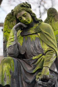Sculpture of Angel at a old Prague cemetery