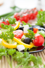 beautiful salad of tomato, pepper and greens