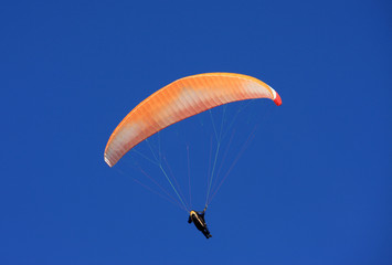 paraglider