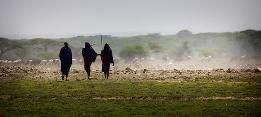 Foto op Plexiglas Maasai © svandeweert
