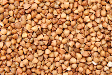 buckwheat;