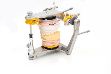 Articulator with mold