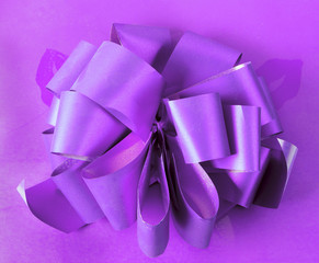bow on the purple background