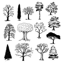 Set of Hand Drawn Trees - 48660065