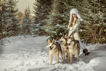 Fashion portrait of beautiful woman with three dogs - 48661299
