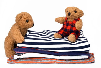 Haushaltstag mit Teddys