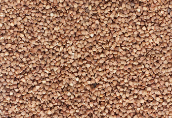 brown buckwheat illuminated directional light