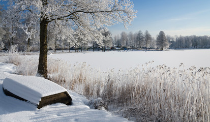 Swedish winter panorama landscape