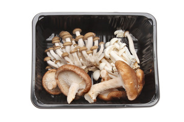 Mushrooms in a carton