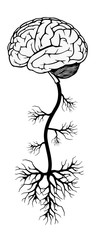 brain and tree. vector illustration