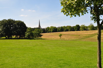 Amazing green/golden field landscape