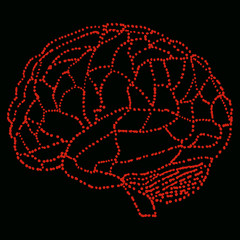 vector human brain model