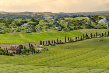 Farmhouse and alley in near Siena, Crete Senesi, Tuscany, Italy