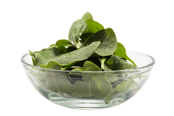 Fresh spinach in a bowl (Clipping path included)