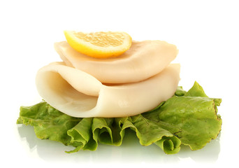 boiled squids with lettuce and lemon isolated on white