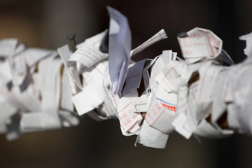Omikuji at Shinto temple in Japan