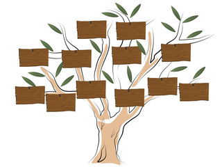 Genealogical tree