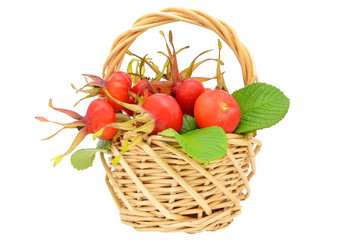 Rose hips in the wicker basket
