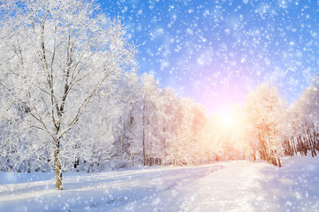 Winter park